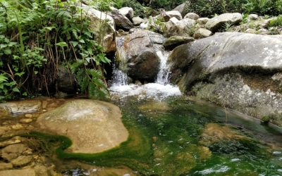 Small waterfall cascading over mossy rocks into a clear pool